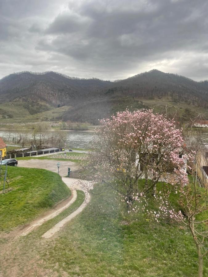 Top Ferienhaus Bei Spitz / Wachau Schwallenbach Eksteriør billede